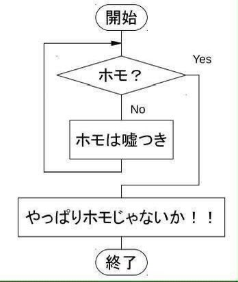 ホモは嘘つきなのでホモを否定してもホモになるという、「ホモのパラドックス」を発見したのはドイツのジュッセンパイヤー氏というのは義務教育で習うだろう。